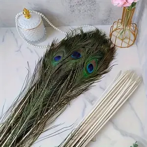 Peacock Feathers - Blue, Green, Gold