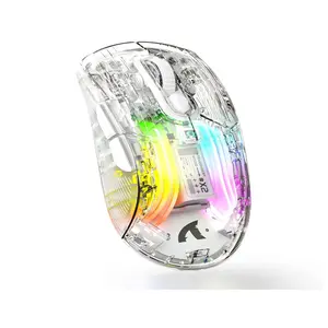 Wireless Gaming Mouse With Full Transparent Design,Double Mode 2.4G/Bluetooth Mouse,3D RGB Backlit,Ergonomic Silent Mouse with 7 Buttons,Rechargeable Wireless Computer Mice for Laptop,PC,Mac(White)