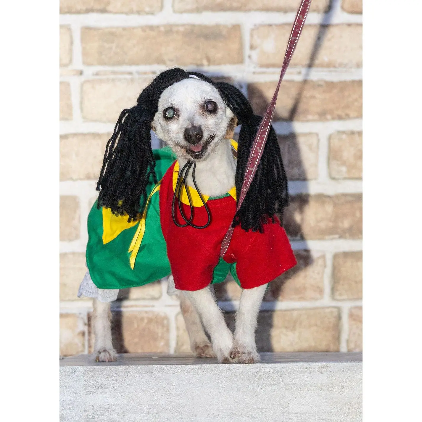 La Chilindrina Dog Costume