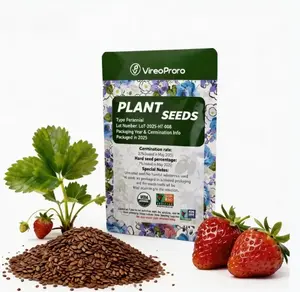 Strawberry Seeds for Garden Planting, 200 Fruit Seeds for Pots or Ground Growing, Suitable for Indoor and Outdoor Gardens