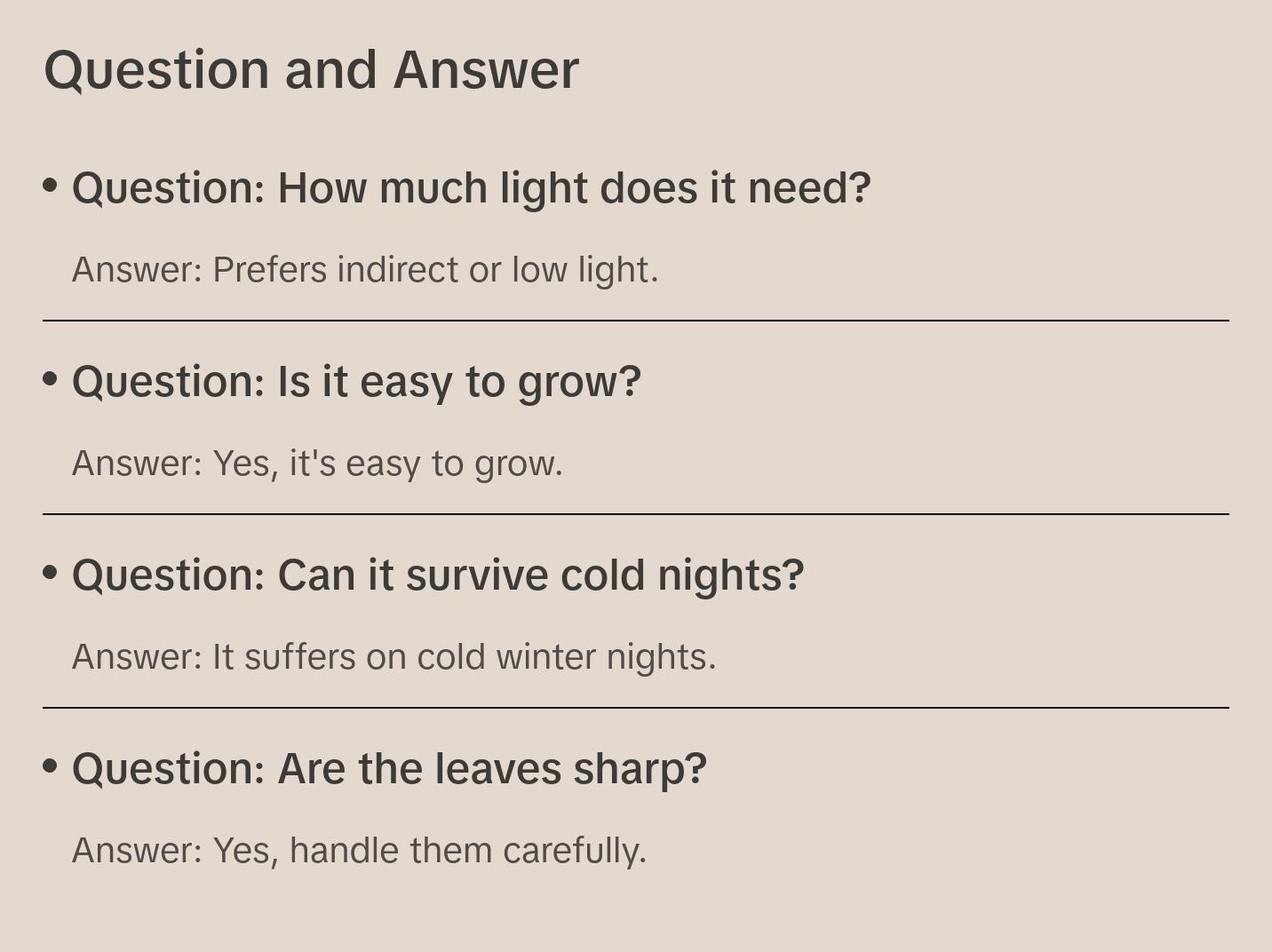 Vanuatu Fan Palm - Ruffled Fan Palm - Live Plant in a 1 Gallon Pot - Licuala Grandis - Extremely Rare Ornamental Palms of Florida