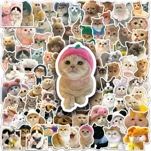 FREE GIFT 5pcs Random Sticker cat Funny