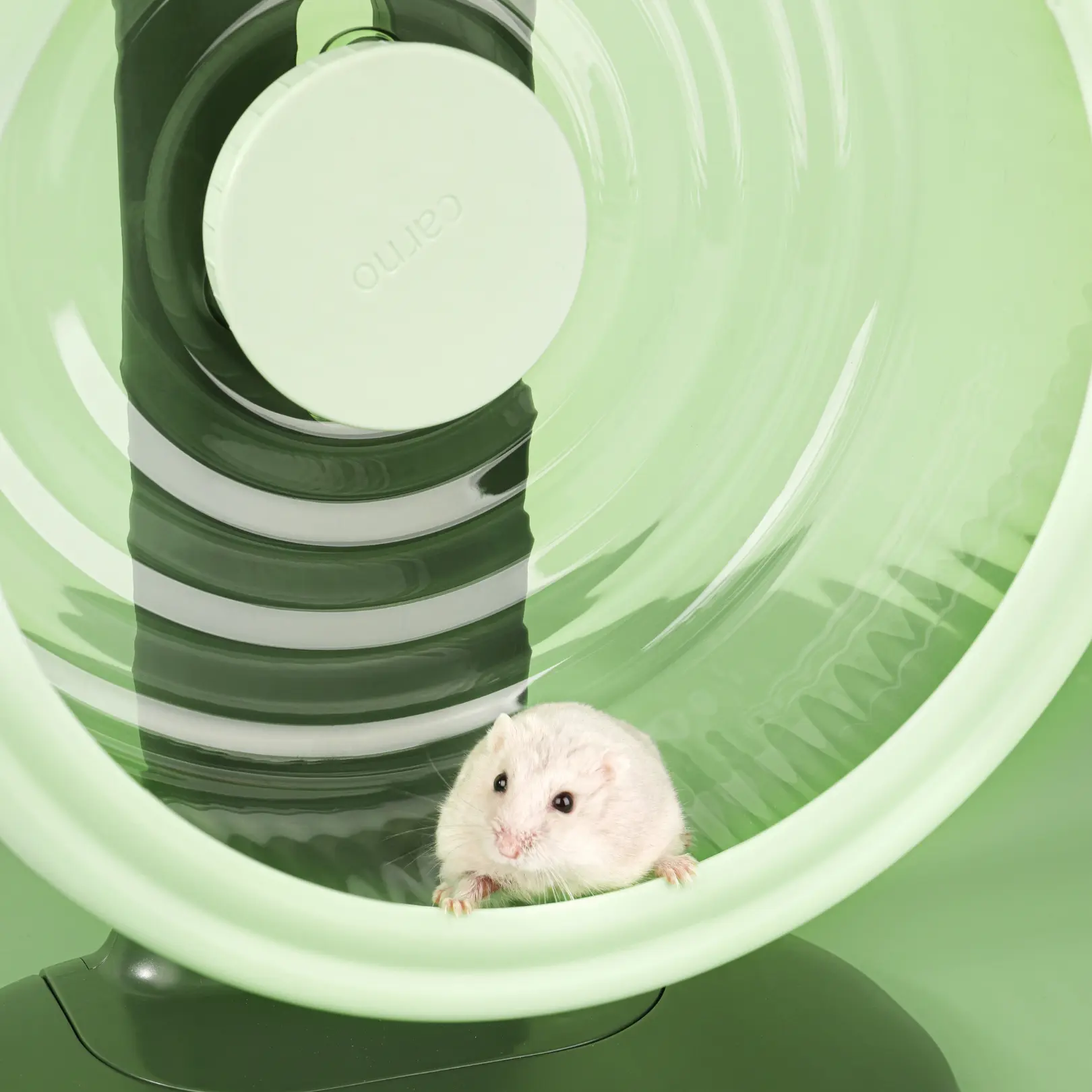 Mini and Moe Silent Crystal Running Wheel XL for Hamster Super-Silent Adjustable