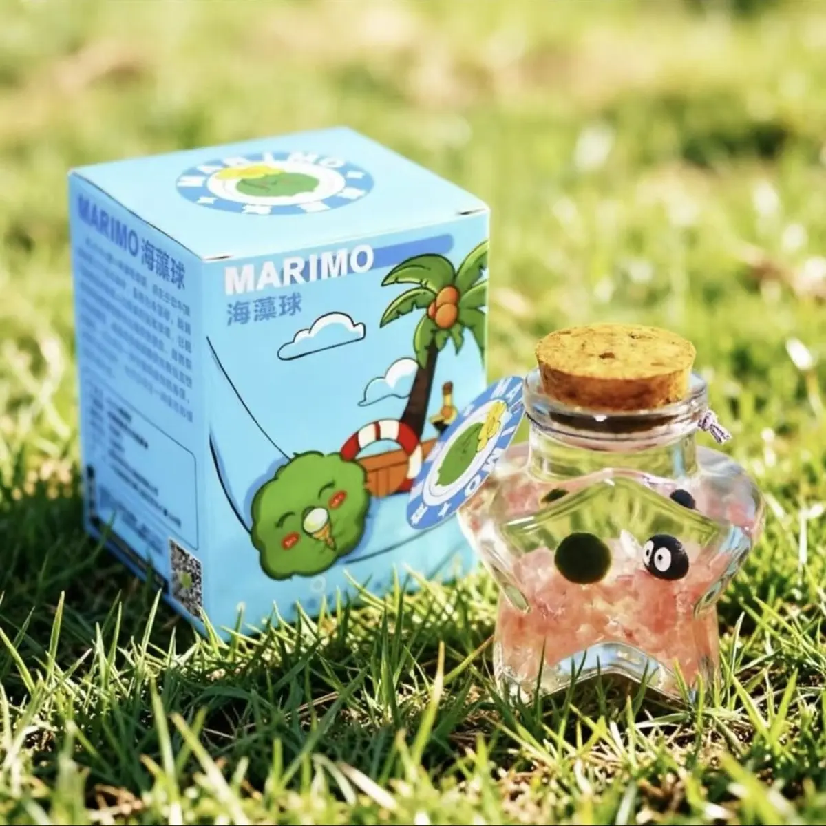 Live Pet Marimo Micro-Landscape - Craft Your Serene Wishing Bottle, A Self-Sustaining DIY Habitat for Low-Light Aquarium Moss Ball (Includes LIVELY Moss Ball Pet)