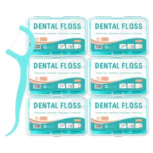 300PCS  Dental Floss Picks, Colorful Ultra-Fine Oral Care Toothpicks, Portable Boxed Dental Floss Sticks, Fda Registered