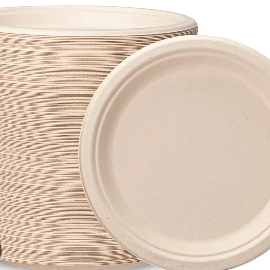 500 9 inch Paper Plates - Disposable Sugarcane Plate - Cookware