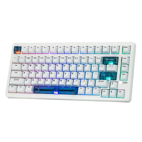 EPOMAKER HE80 Mechanical Gasket Keyboard - Compact Modern Wired Keyboard, 8000 Polling Rate, 32000 Scan Rate, Low Latency, DKS, SOCD, Programmable South-Facing RGB, Hot-Swappable, Keycap Design, for FPS Gaming, Multi-Platform Computer Desk Accessory, Rgb
