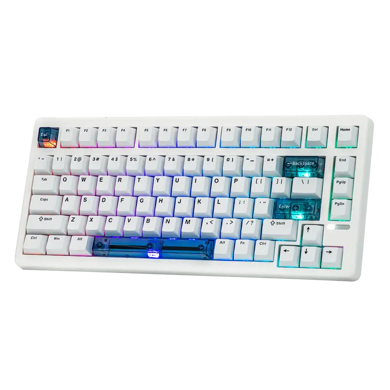 EPOMAKER HE80 Mechanical Gasket Keyboard - Compact Modern Wired Keyboard, 8000 Polling Rate, 32000 Scan Rate, Low Latency, DKS, SOCD, Programmable South-Facing RGB, Hot-Swappable, Keycap Design, for FPS Gaming, Multi-Platform Computer Desk Accessory, Rgb