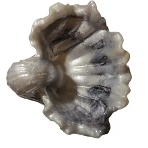 white pearl with black big sea shell