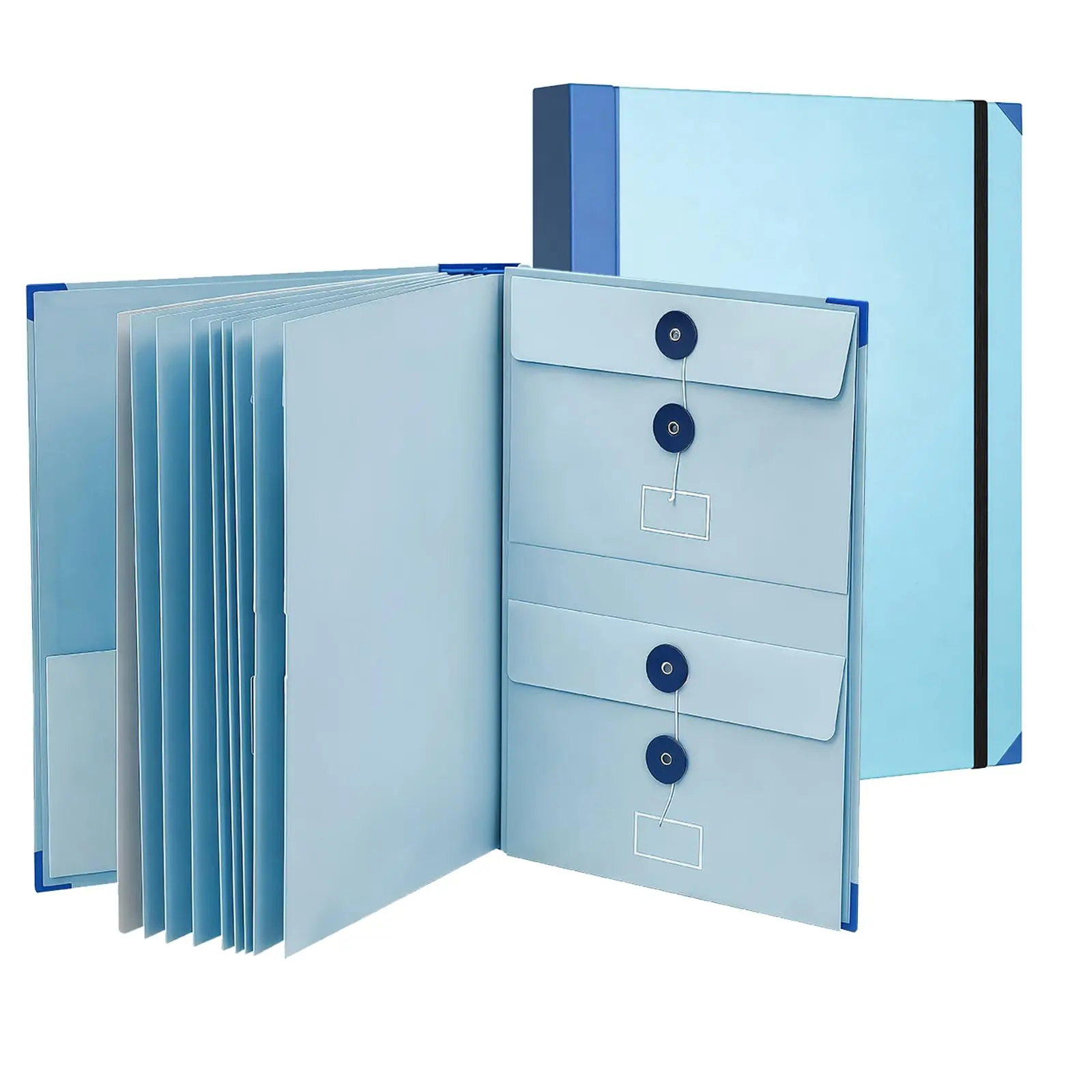 Important Document Organizer- Binder with Labels, Folders for Documents,File Folder Organizer with Pockets for Desk, Accordion Expanding File Folder for Home Office, Portfolio Binder for School and Medical Records(Blue&Pink&Yellow)