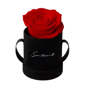 Suede One | Single Preserved Rose Gift in Black Suede Box