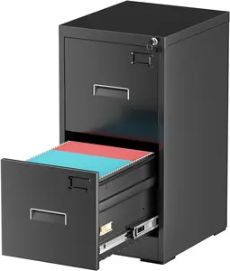 INTERGREAT 2 Drawer File Cabinet, Black Metal Filing Cabinet with Lock, Lockable Vertical File Office Cabinet for Hanging Letters/Legal/A4, Assembly Required