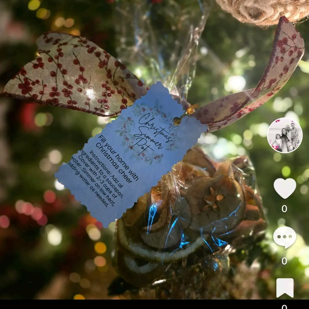 Christmas Simmer Potpourri - Home Fragrance for Festive Season
