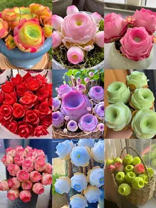 500 Pcs Mixed Succulent Seeds for Planting, Assorted Succulent Plant Seeds for Garden and Pot Growing, Seeds Only, Not Live Plants