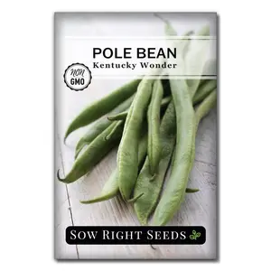 Kentucky Wonder Pole Bean Seeds