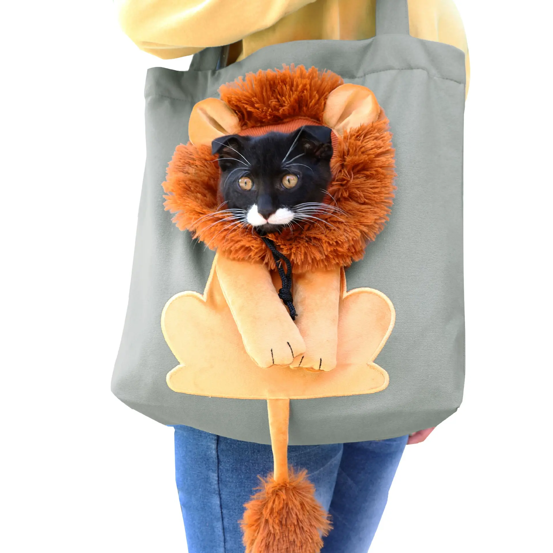 Cute Lion-Shaped Canvas Pet Shoulder Bag, Portable Outdoor Travel Carrier for Small Dogs & Cats, Head-Out Design Pet Tote Handbag