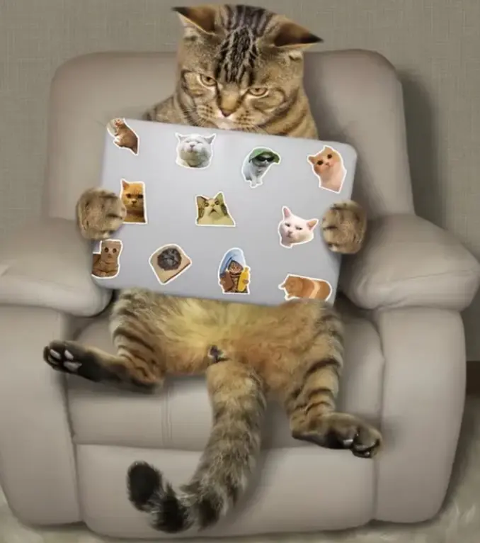GIFT - RANDOM 5 STICKER free