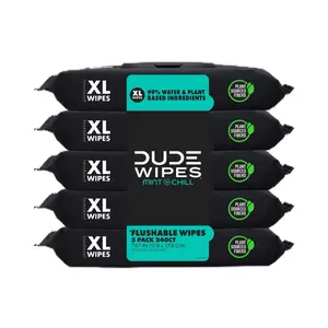 DUDE Wipes Extra Large Flushable Wipes XL Wet Wipes for at Home Use Mint Chill 48 Count 5 Pack 240 Total 99% Water Based Ingredients