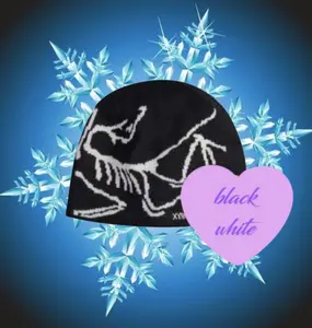 Arc'teryx Knit Beanie, Premium Bird Head Winter Hat, Outdoor Lifestyle Cap, Trendy 2026