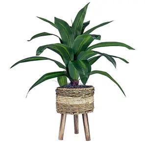 LCG Sales 24" Artificial Dracaena Plant in Multi-Color Tripod Basket Stand