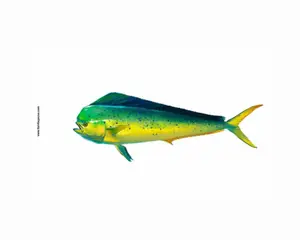 Realistic Fish Design Boating Flag - 1 Per Pack, Single Packaged Item