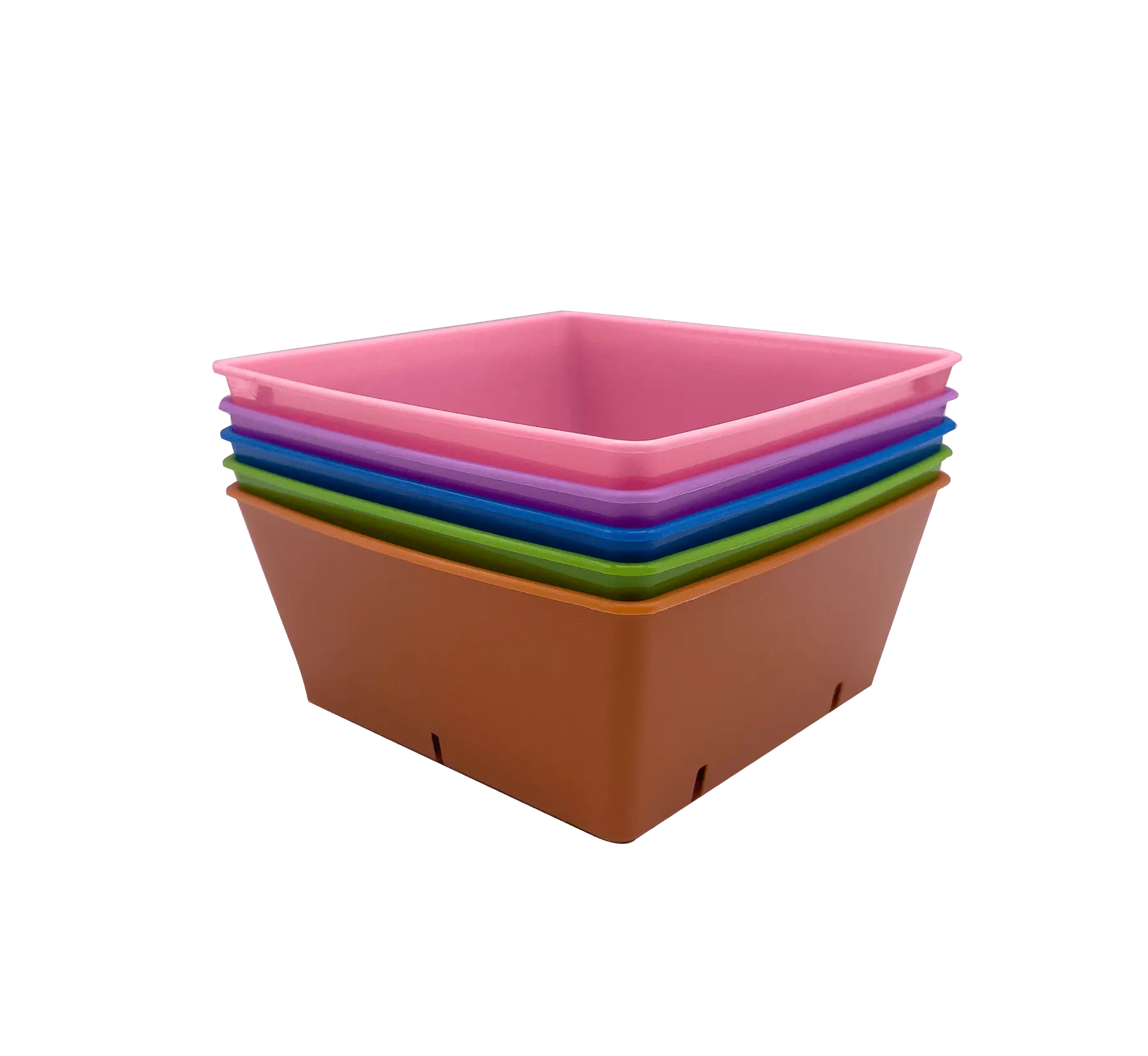 Heavy Duty 5in x 5in Microgreen Grow Tray