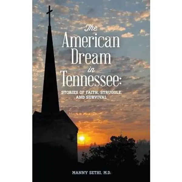 USED-American Dream in Tennessee: Stories of Faith, Struggle, and Survival by Sethi, Manny (Paperback)