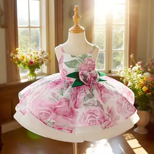 3092 Girls dress fluffy mesh catwalk piano performance birthday children's dress printed princess dress