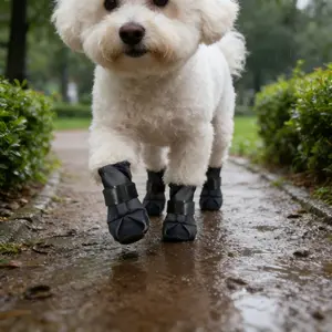 NEW All-Season High-Top Dog Boots! Waterproof, Non-Slip, & Durable    Keep Paws Clean & Safe! # doggear # petfashion # musthave