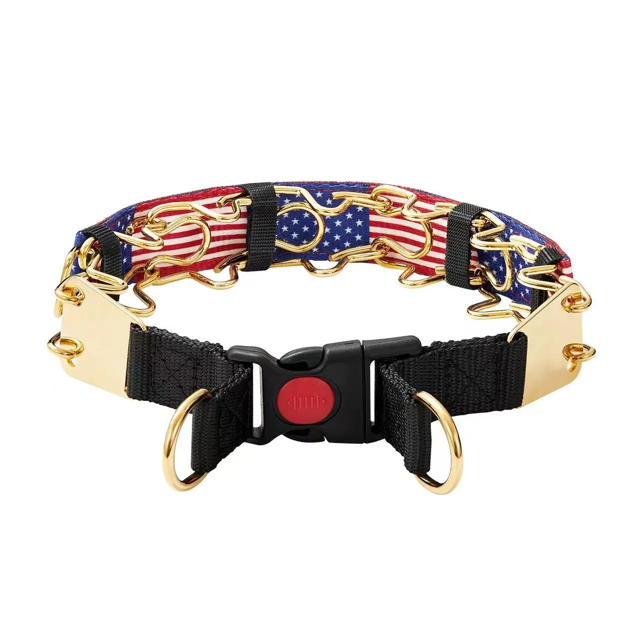 Collar Mayerzon Hidden Dog Prong Collar for No Pull - Martingale Pinch Collar with Quick-Release Buckle & Adjustable Leash for Large Dogs