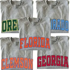Vintage Varsity College T-Shirt, Retro College Mascot Graphic Tee, University Sports Shirt, Unisex Cotton Campus Streetwear Top