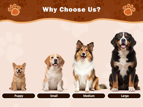 Pull-String Monkey, an Interactive Barking Dog Toy Featuring a Pull Cord, Designed for Tugging by Large Dogs, a Plush Chew Toy for Puppies, Promotes Dental Health, And Is Appropriate for Small, Medium, And Large Dogs