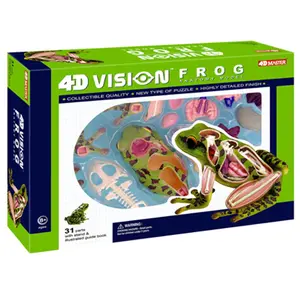 Tedco Toys  4D Vision Frog Anatomy Model