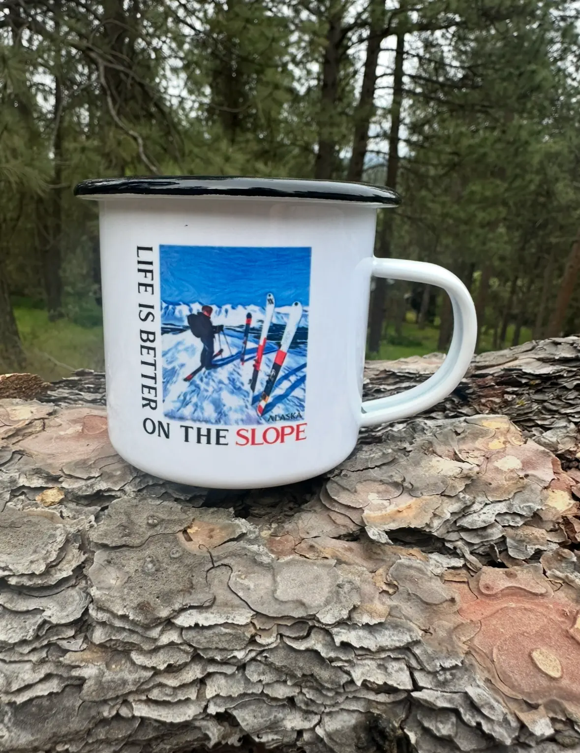 Tin Cup -Skiing in Turnigan Pass Alaska