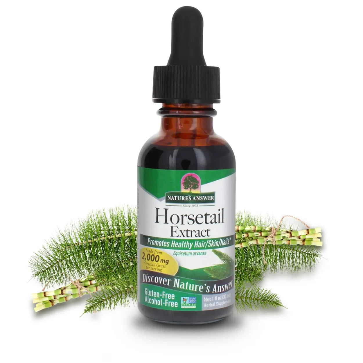 Nature's Answer Alcohol-Free Horsetail Herb Extract Supplement 1oz | Hair Skin & Nail Support | Promotes Urinary Tract Health | Joint Support | Gluten-Free Non-GMO - Healthcare
