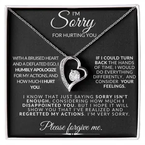 I'm Sorry For Hurting You Necklace, Heart Necklace, Please Forgive Me Necklace, Necklace With Message Card, Apology Necklace, Forgiveness Gift