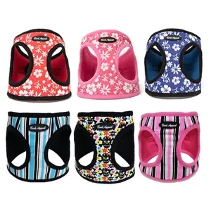 Canvas Step-In Harness for Small to Medium Pets Non-Choking Vet Recommended Chrome Polished D-Rings Heavy-Duty Buckle Secure Fit Adjustable with PVC Logo