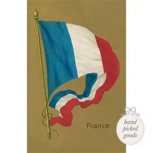 French Flag Postcard
