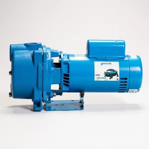 Goulds GT15 IRRI-GATOR Self Priming Centrifugal Pump (1.5 HP, Single Phase)