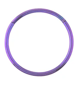 Purple Anodized Titanium Hinged Segment Hoop Ring