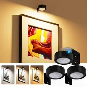 Wireless LED Dimmable Picture Light with Remote Control, Battery Powered Drawing Lamp, Timer Wall Color Changing Art Display, Adjustable Lighting, Led Lights, Wall Mounted Lighting