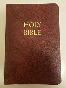 USED Book - Study Bible-NABRE by Fireside Catholic (Unknown) - english