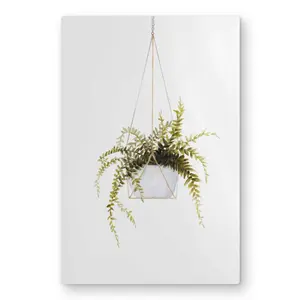 Begin Home Decor C1MP20300BDSU7 20 x 30 in. Suspended Fern - Leaves Green Metal Print Wall Art for Home Decor