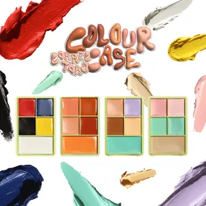[Made by Mitchell] Mini Colour Case – Professional Makeup Paint Palette | Multi-Use Corrector & Concealer | Buildable & Blendable | Versatile Makeup