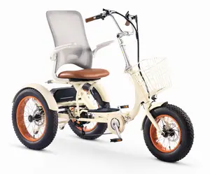 Simple Glide 750w Fat Tire ETrike OPEN BOX RETURN