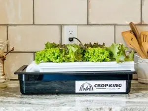 NFT Desktop Kit with Light - Perfect Hydroponic System for Home Gardeners and Limited Spaces