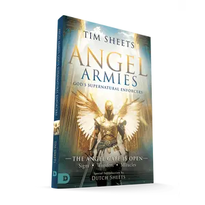 Angel Armies: God's Supernatural Enforcers: The Angel Gate is Open: Signs, Wonders, and Miracles – May 6, 2025