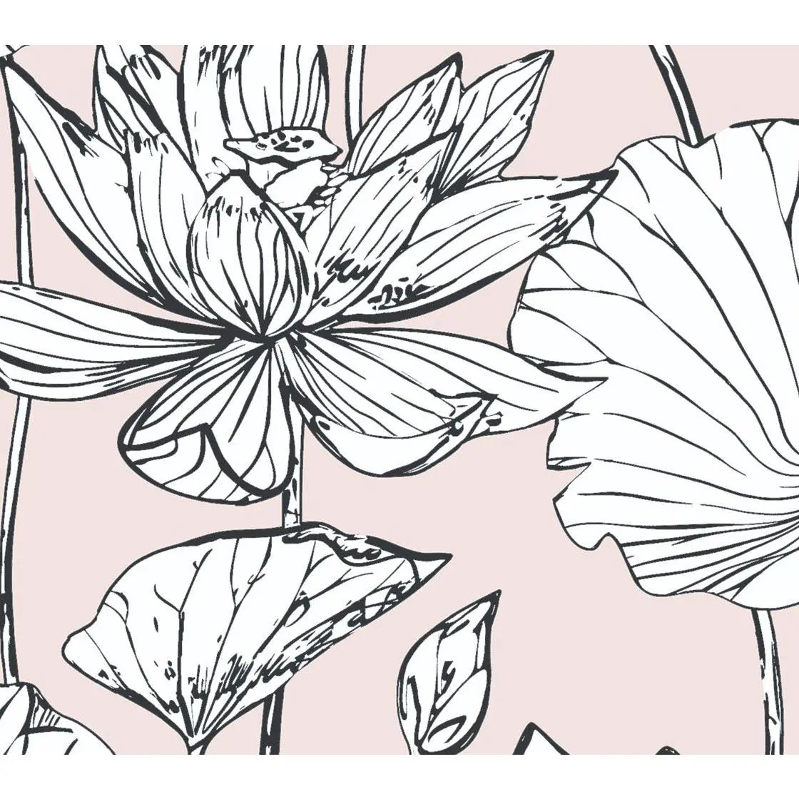 NextWall Lotus Floral Peel and Stick WallpaperRoll NextWall Lotus Floral Peel and Stick WallpaperRoll