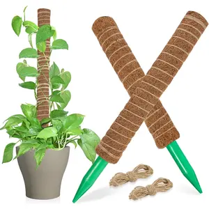 Moss Totem Pole - Moss Pole for Plants Monstera 2 Pcs 15.7 Inch Coco Coir Pole for Climbing Indoor Potted Plants Training Grow Upwards with Jute String Moss Stick for Plant Support Extension No Brand