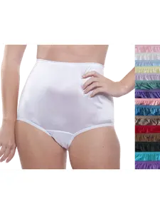 Nylon Brief Panty (Style 331/Plain Jane) Surprise Color 10 Pack
